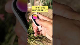 Famous The LIMITLESS Versatility of This 🌟 #shorts #poppuck #fidget Wealth