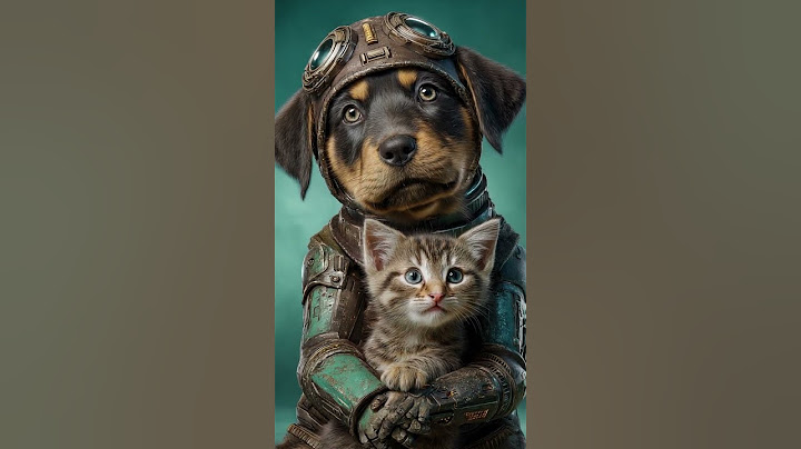 Cyber Canine Feline Guardians [Sci-Fi Alien Pets]
