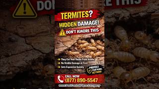 Signs of Termites in Plano Homes | Pest Control Plano Texas