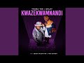Thama Tee & Chley – “Kwazekwamnadi” ft. Sbuda Maleather & Pabi Cooper