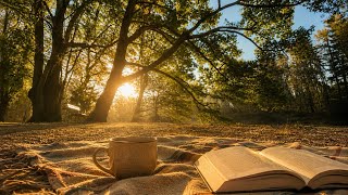 Peaceful Forest Morning 🍂 Soft Piano Music for Relaxation, Reading & Study