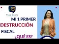 Mi 1 pimer  Destrucción Fiscal