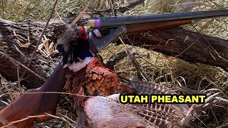 UT Phez Gunner and Parker 23 by Upland Wild 518 views 6 months ago 2 minutes, 26 seconds