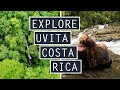 What to do in UVITA | Cascade El Pavon + Whale's Tail + MORE | Costa Rica