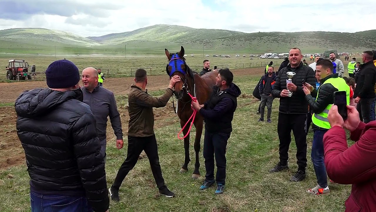 Na hipodromu “Raškoviće” održan Memorijal “Hasib Škrijelj” - SPECIJALNA EMISIJA