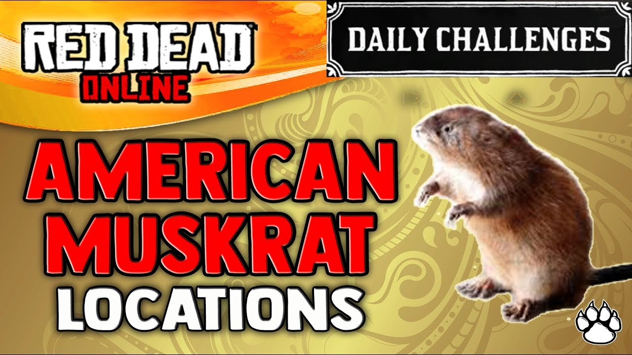 Red Dead Online American Muskrat Locations RDR2 Daily Challenge