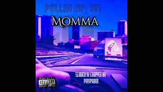 Nelly_Luven Me (slowed n chopped)