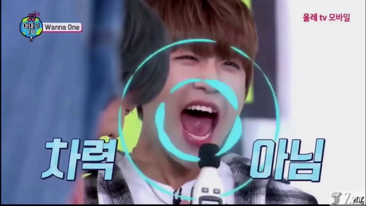 just Park Woojin things