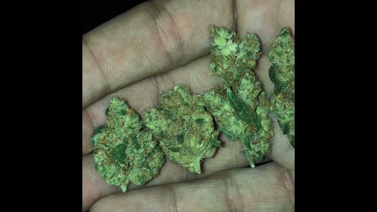 Cresco Sour Pink Grapefruit Review