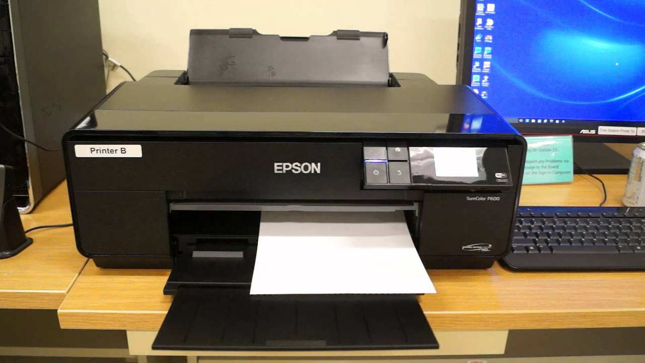 epson l555 printer nozzle check