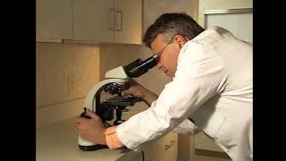 Nine Network Supporter: South County Urological