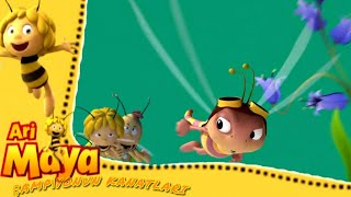 Ari Maya Şampiyonun Kanatları