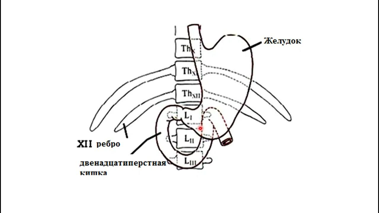 Блять в ауызе сперму ауызға Секс және Гарри Поттер туралы эротикалық комикстер