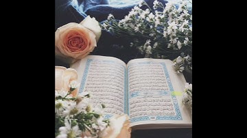 القران الكريم سورة العاديات بصوت القارئ سعد الغامدي
