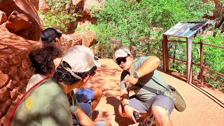 FAMILY ROAD TRIP TO ZION NATIONAL PARK! EP 535