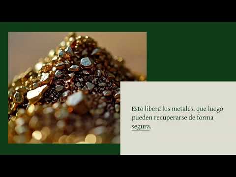 BacTech: Quiénes Somos y Qué Hacemos