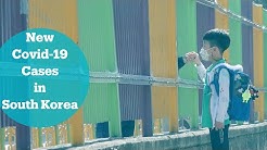 South Korea schools close again over virus spike