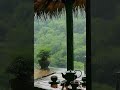 Best heavy rain 🌧️ and thunder for quite relaxation #thundersounds #rain #rainoundforsleep #asmr