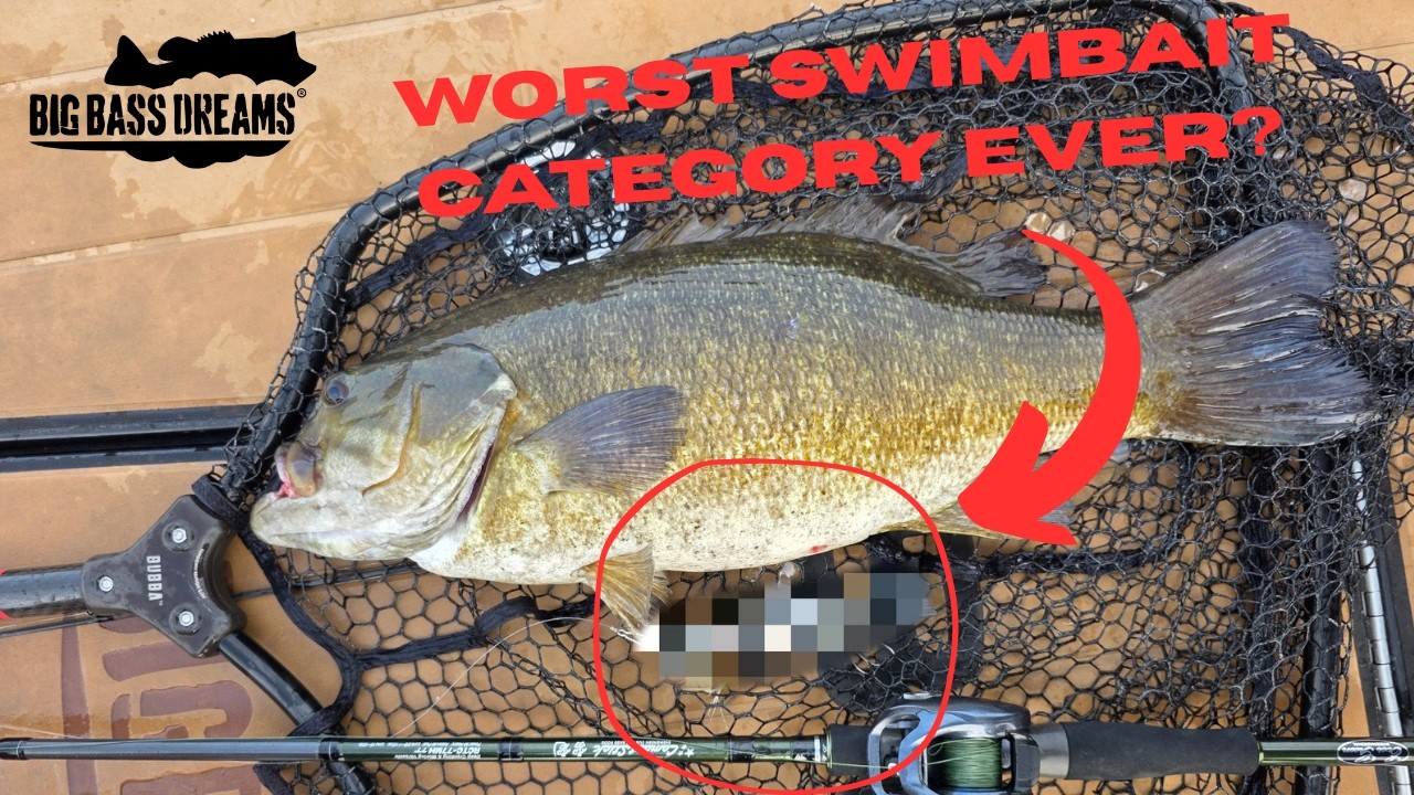 The Worst Swimbait Category Ever?  This Could Never Actually Work