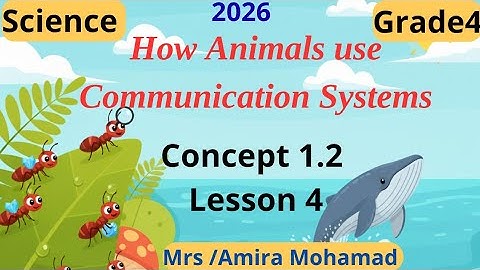Science Grade4 | How Animals use Communication Systems | Lesson 4 Concept 2 شرح ساينس رابعه إبتدائي