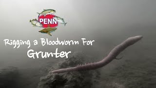 Rigging a Bloodworm For Targeting Grunter