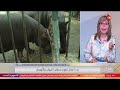 اعرف أسعار تذاكر حديقة الحيوان الجديدة بعد التطوير هتكون كام التفاصيل من د محمد رجائي