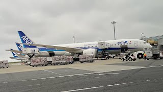 All Nippon Airways; Singapore to Haneda on NH844 (Economy Class) All Nippon Airways; Singapore to Haneda on NH844 (Economy Class)
