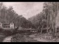 Tasmanian tiger  thylacine attack in 1862 at pipers river tasmania