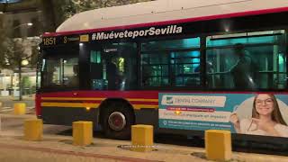Buses in Seville, Spain 2024