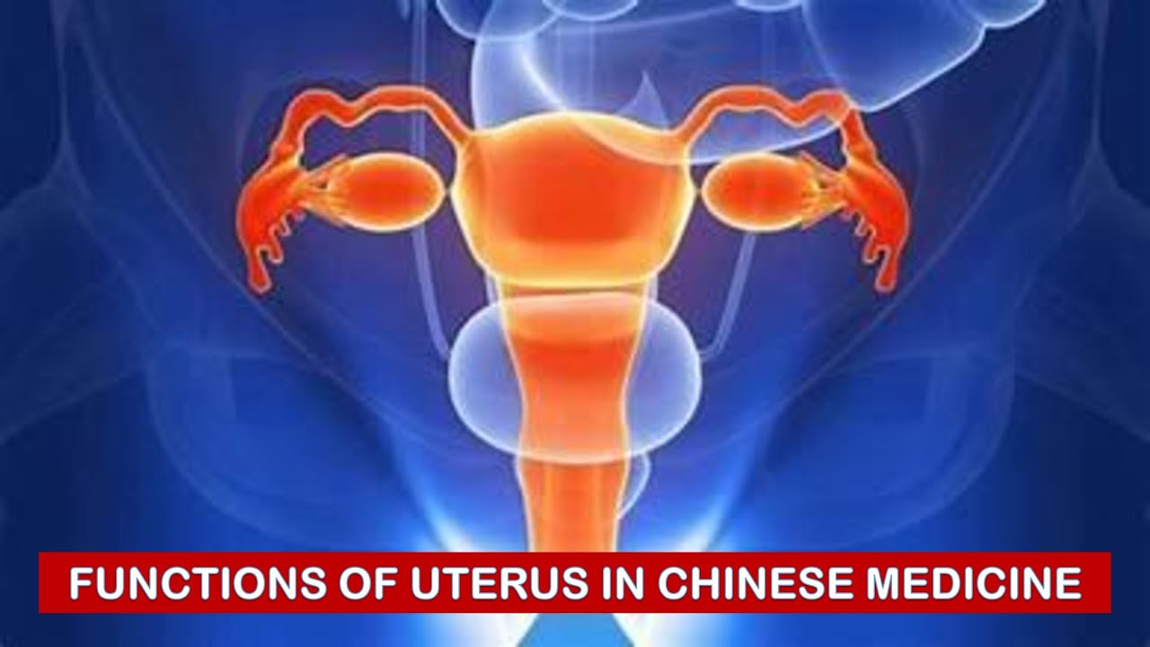 FUNCTIONS OF THE UTERUS IN CHINESE MEDICINE