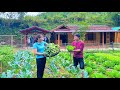 TIMELAPSE: START To FINISH - Build a solid road, Harvest vegetable leaves for pigs