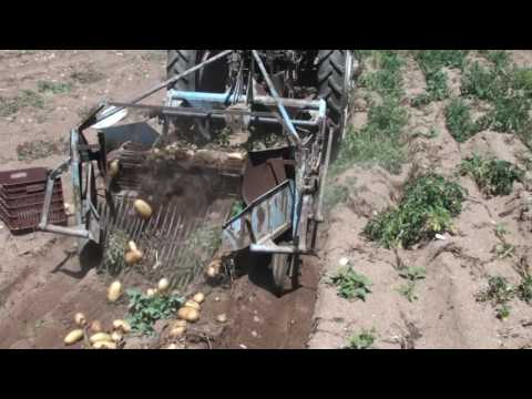 Βίντεο: Παλεύουμε τη σέσουλα πατάτας