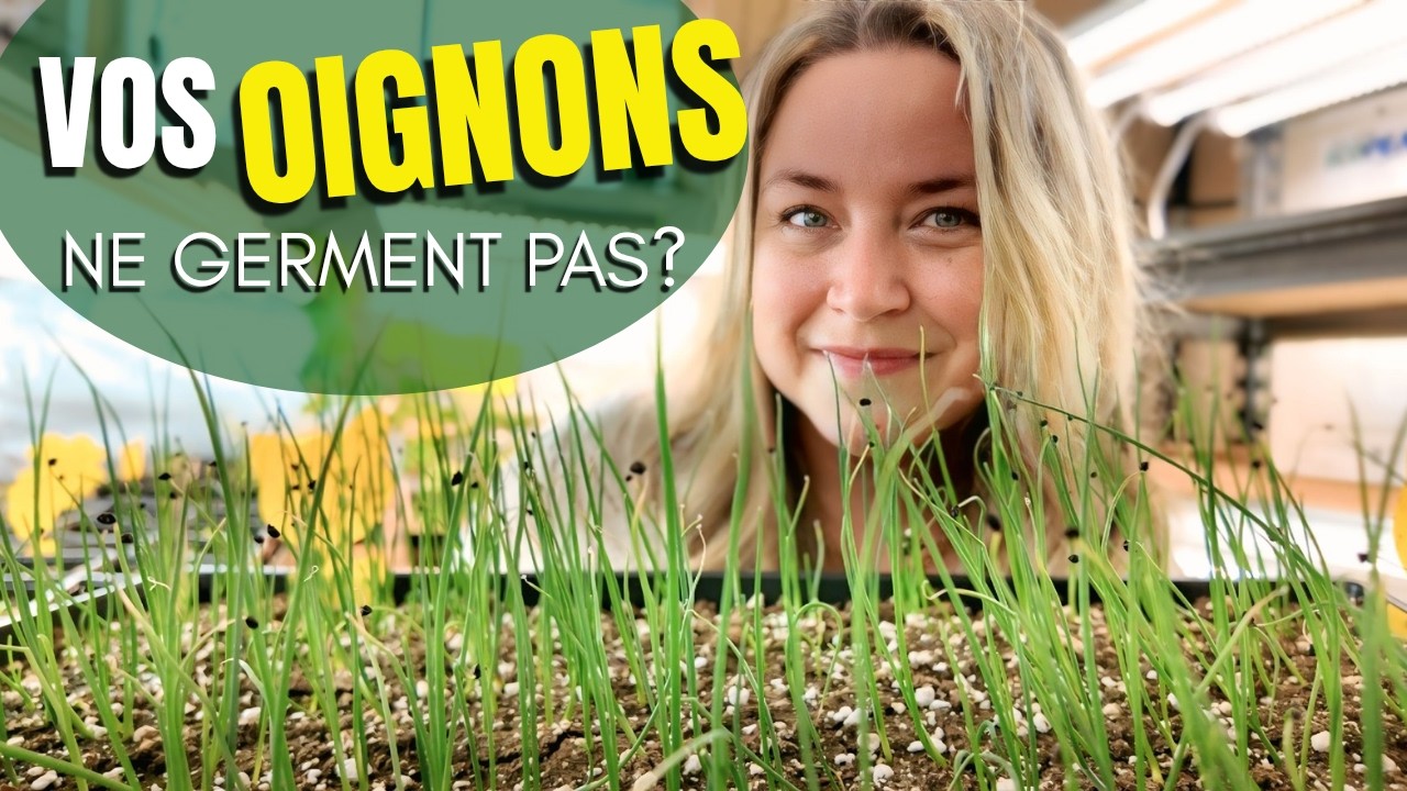 COMMENT je réussis mes semis d'OIGNONS ?