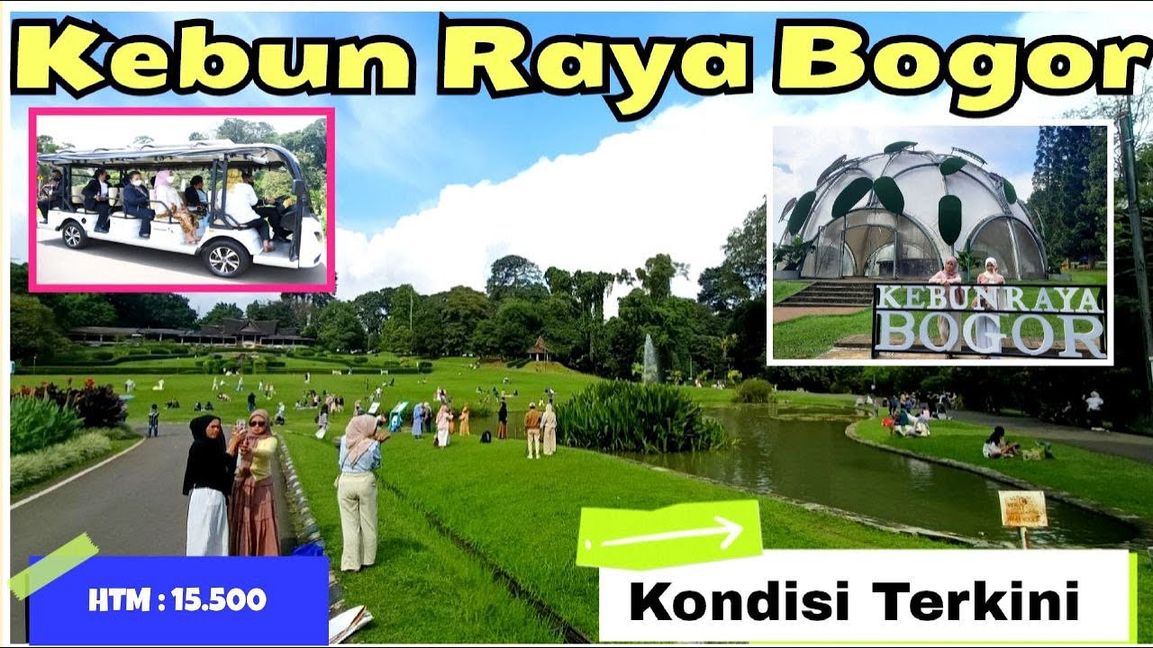 Kebun Raya Bogor Kondisi Terkini || HTM 15.500