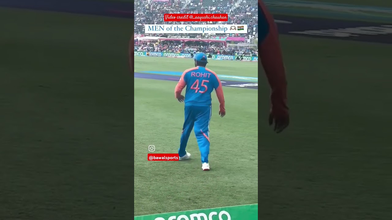 YOU HAD ONE JOB - YouTube Auto PHP Script