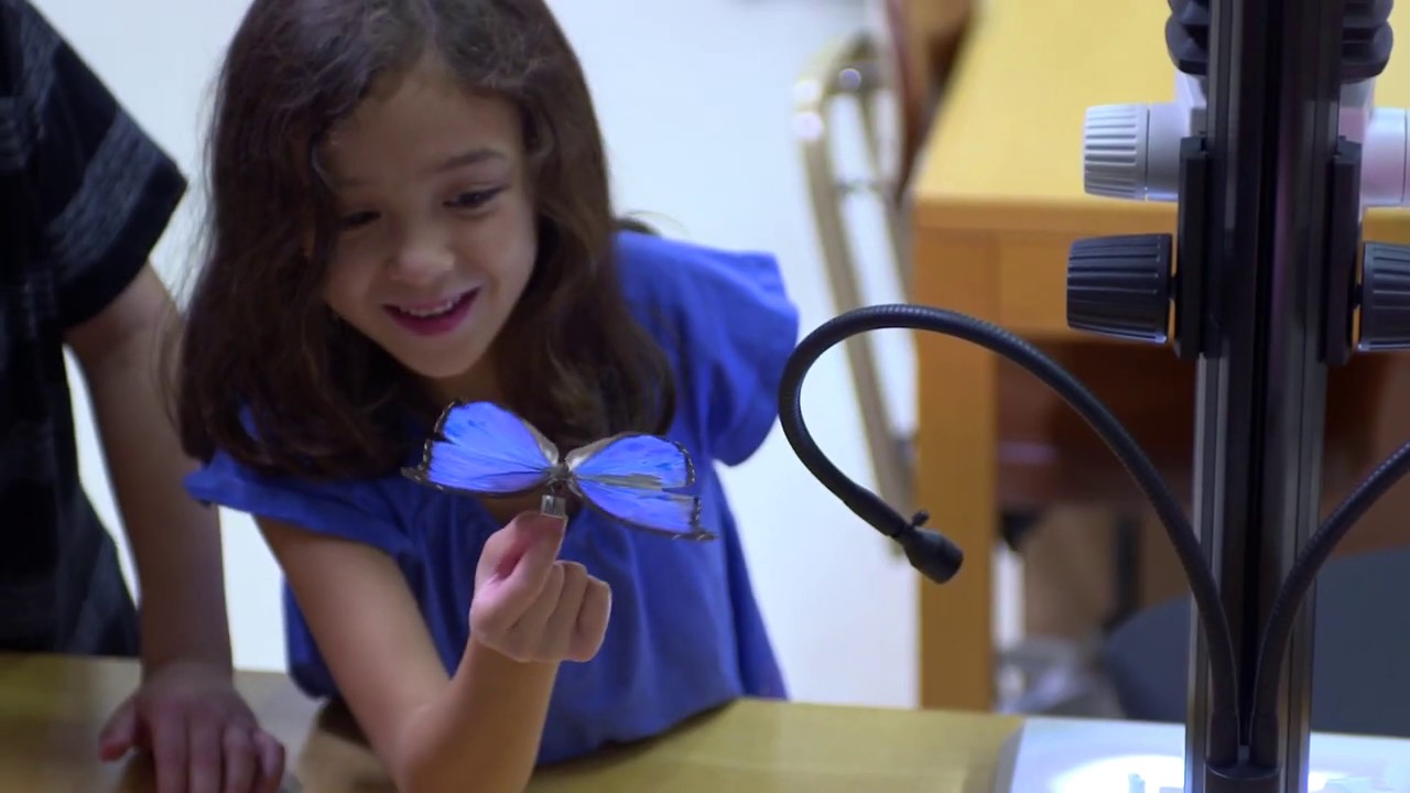 I Am A Woman In Science - YouTube
