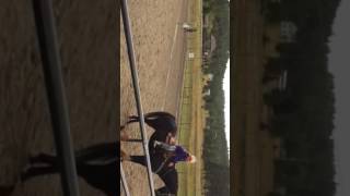2 barrel Flag Race
