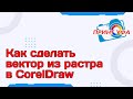 Трассировка растрового изображения в CorelDraw для плоттерной резки, делаем из растра вектор