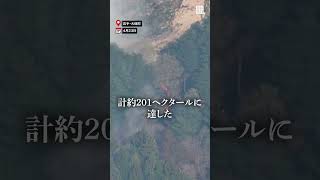 焼失面積201ヘクタールに 山林火災、消火続く #岩手県 #大槌町  #毎日新聞 #shorts