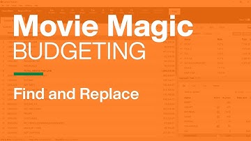 Movie Magic Budgeting - Find and Replace