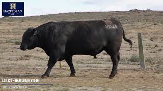 LOT 125   HAZELDEAN V1249
