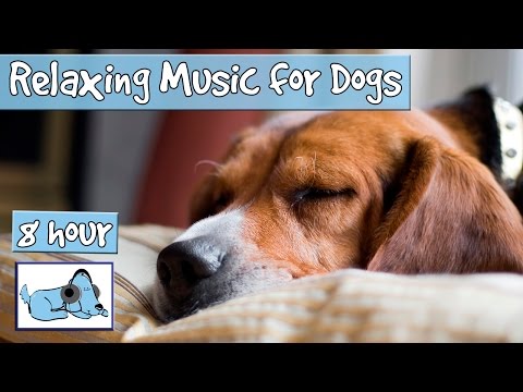 dog sleeping music 10 hours