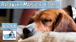 8 hour dog music