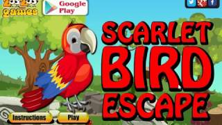 Scarlet Bird Escape - Walkthrough (ZooZoo) screenshot 5