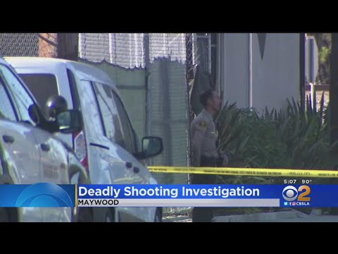 Deadly Shooting Investigation In Maywood