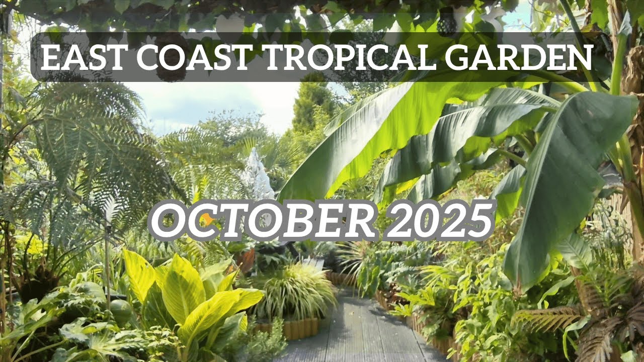 October 2025 Tropical Garden Update / Tour | Autumn Growth Season End at Coastal Garden