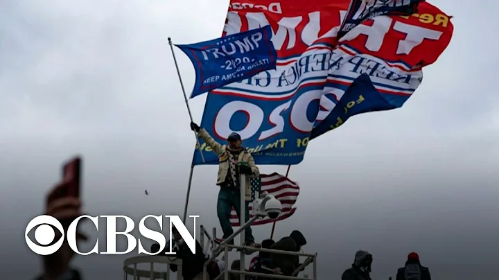 What was social media's role in the deadly Capitol assault?