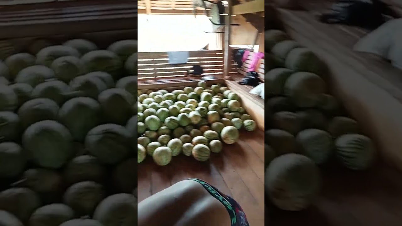 Farm harvest