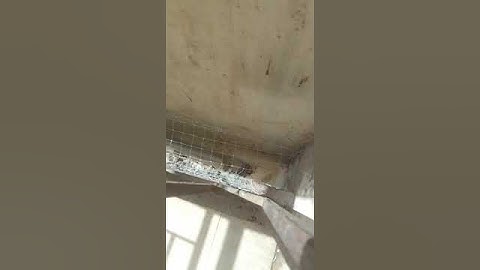 border net #home #bird #video