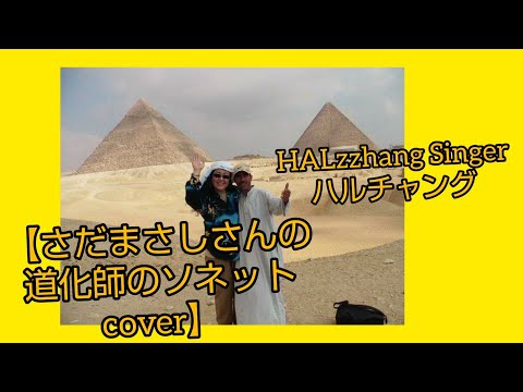 【さだまさしさん  #道化師のソネット ✨cover弾き語り】HALzzhang Singer(ハルチャング)